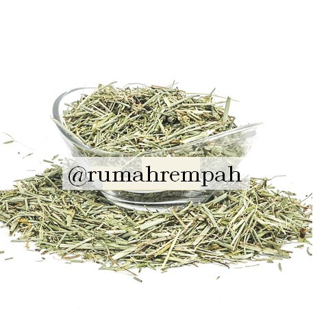 

GLARANADI - Teh Menjaga Kesehatan Kulit Rambut & Tulang / Pucuk Horsetail Kering (Dried Horsetail Stems Tea) 10 g