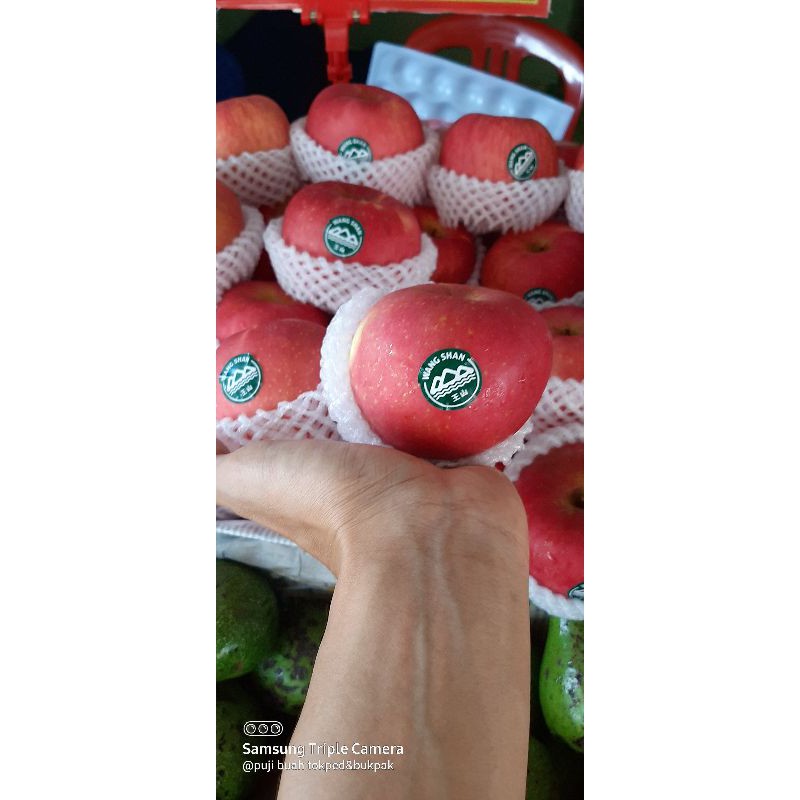 Apel fuji wang shan premium