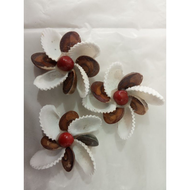 Bros bunga. Bros hijab. Bros kerang. Bros murah. grosir Bros kerang