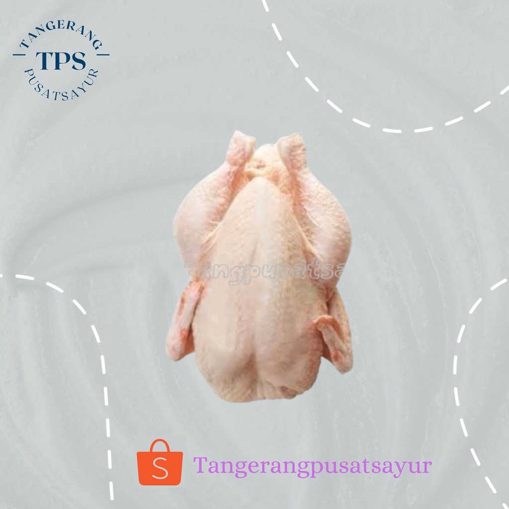 

Ayam Broiler Karkas / Ekor 0,9 - 1kg