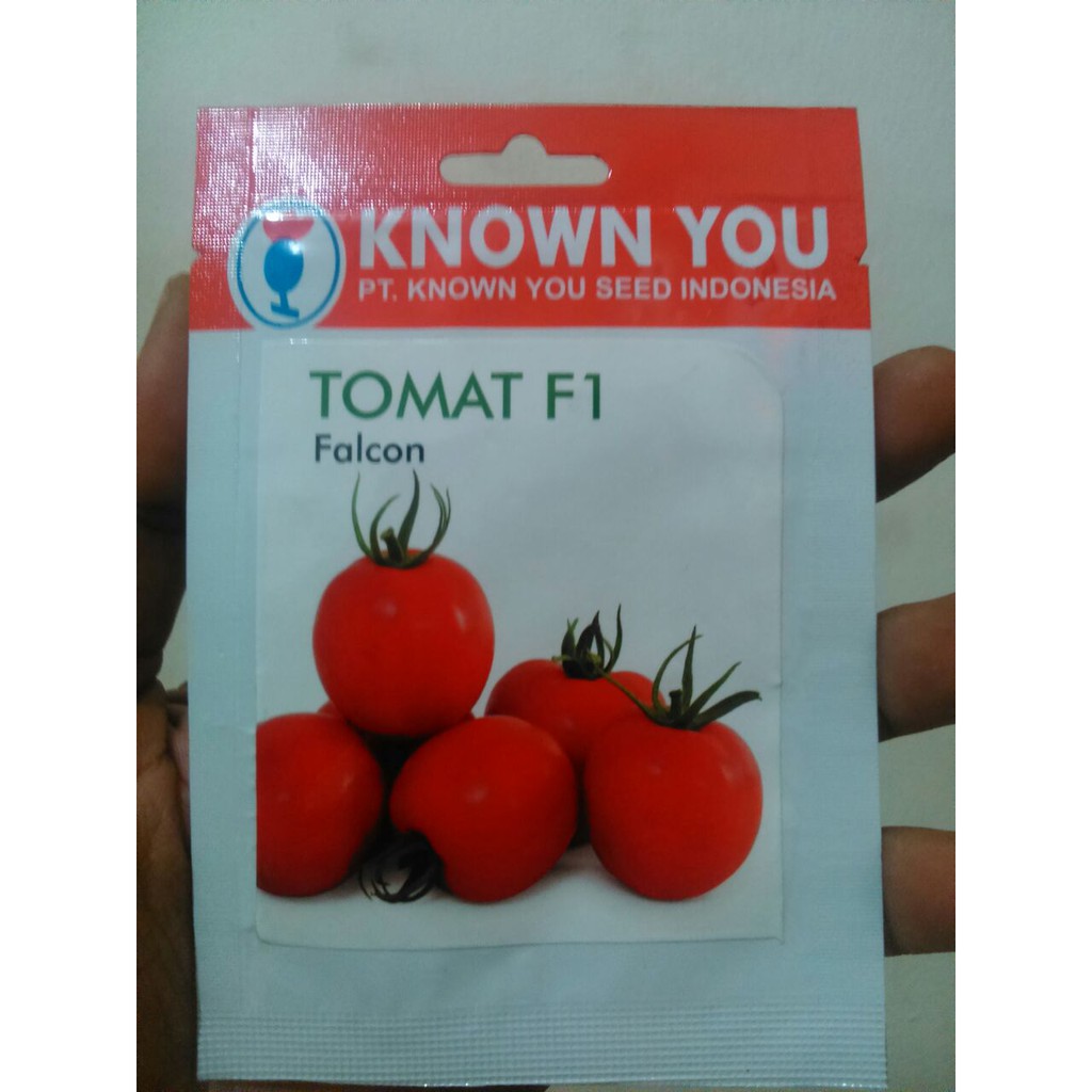 BENIH TOMAT F1 FALCON - KNOW YOU SEED