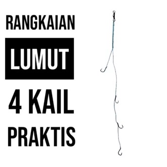 RANGKAIN LUMUT 4 KAIL PRAKTIS