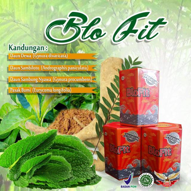 BLOFIT HERBAL KOLESTROL DAN PELANCAR DARAH