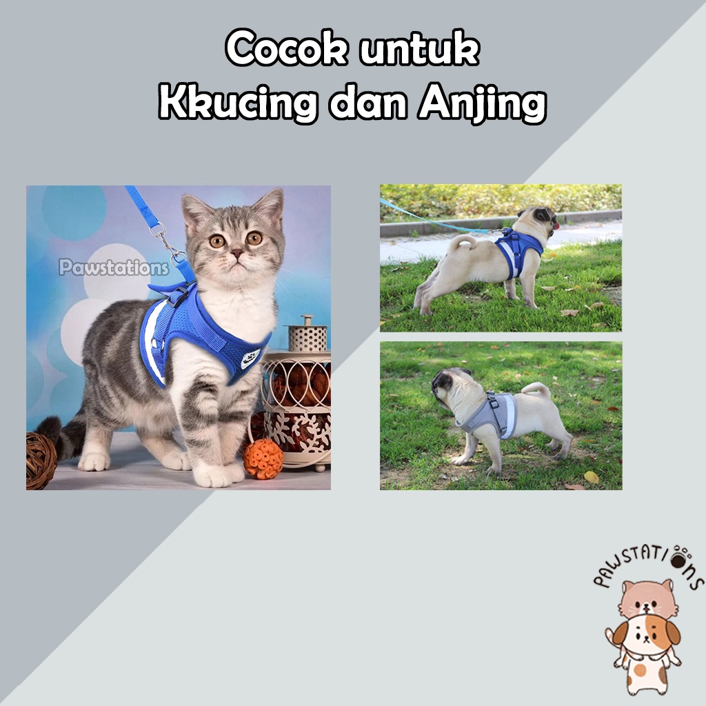 Tali Kucing untuk Jalan Harness Kucing Rantai Anjing Harness Anjing Tali Anjing Tali Tuntun Kucing Tali Anjing Kecil Hernes Kucing Harness Tali Kucing Panjang Leash Anjing Harnes Musang Rompi Kucing Rompi Anjing
