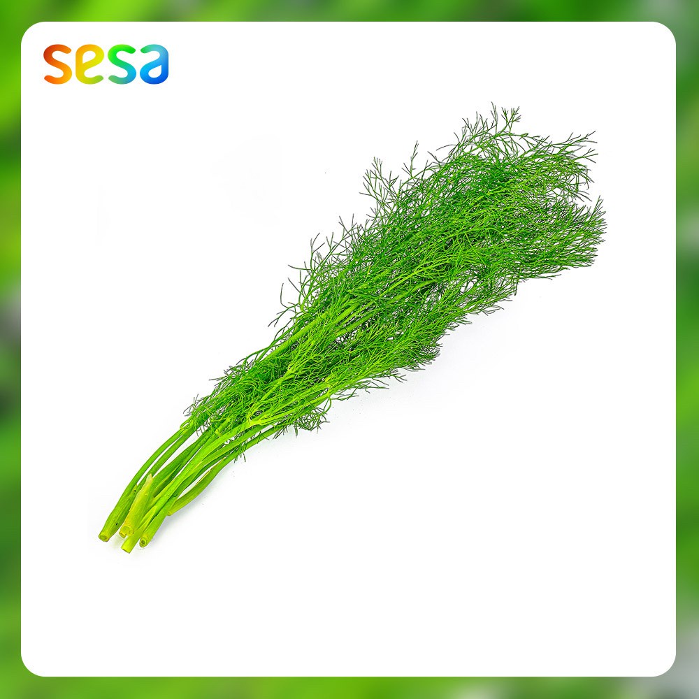 

Daun Dill Organik 50 g