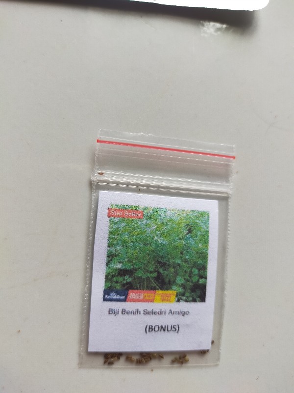 Benih Bibit Bunga Mawar Mixed 25 Warna (isi 50 Biji)