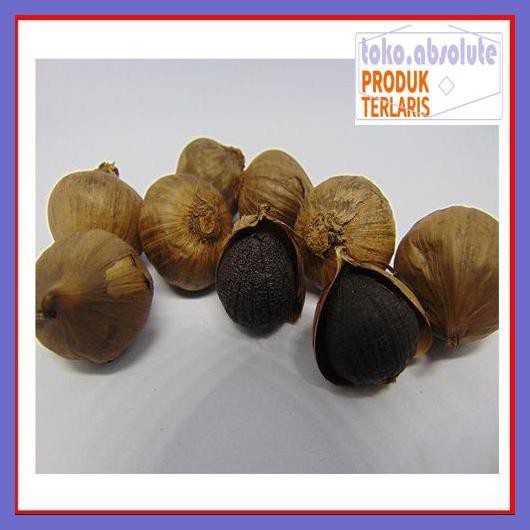 

6E64S6- Bawang Putih Hitam Tunggal - Bawang Hitam Lanang -Black Garlic 76Rdy-