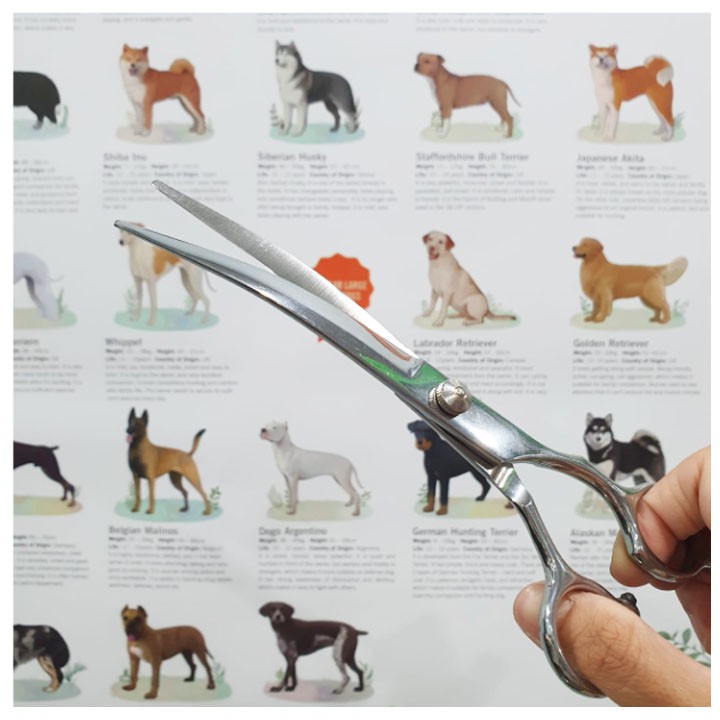 Gunting Rambut Bengkok Lengkung Anjing/Kucing/Kelinci/Hewan Grooming