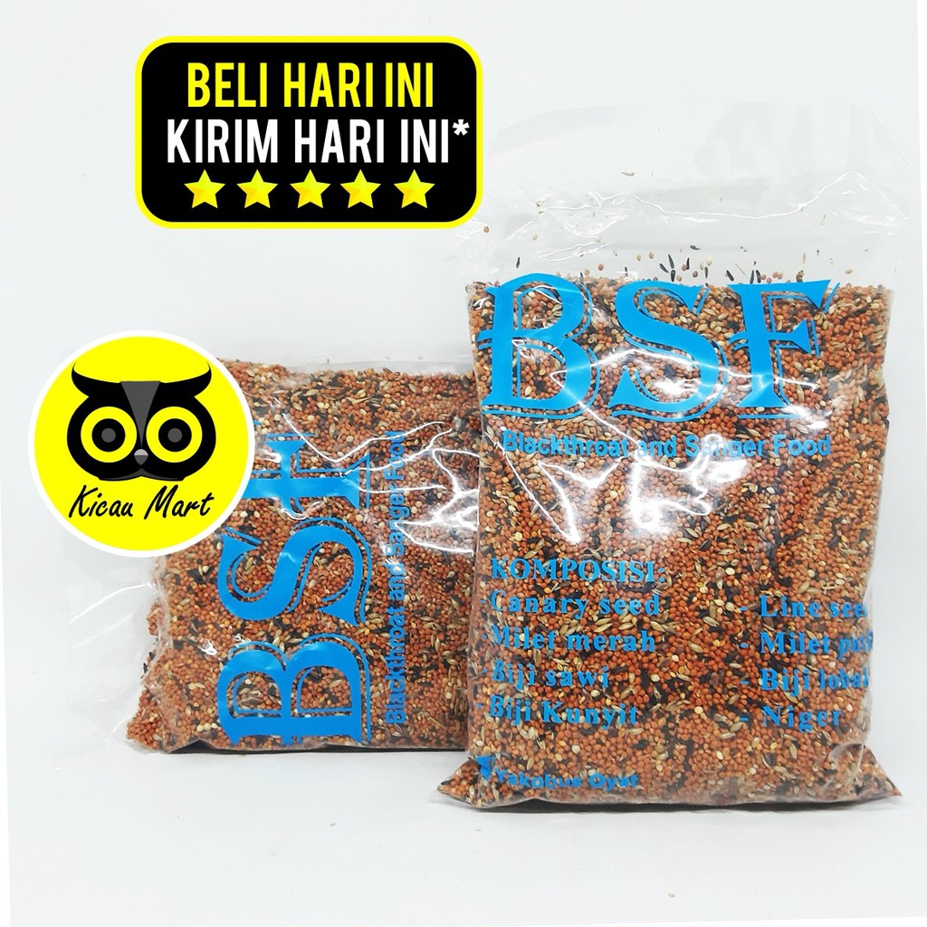 PAKAN MAKAN HARIAN BURUNG BLACK THROAT SANGER FINCH KENARI MOZAMBIK BIJI MILLET MILET BSF OBTCCES3