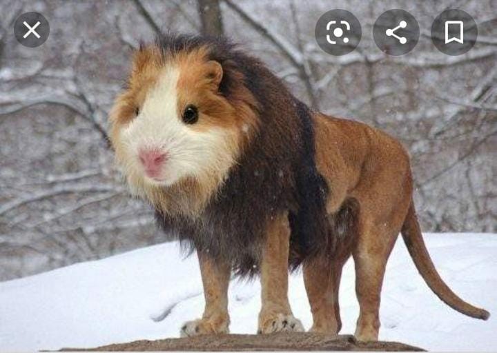 5 Inf ✿ 5 Pack Cetakan Perhiasan Handmade Diy Bahan Resin Silikon