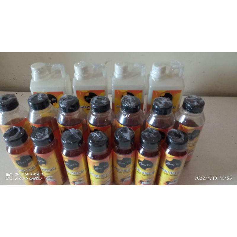 

madu sialang hutan sumatra