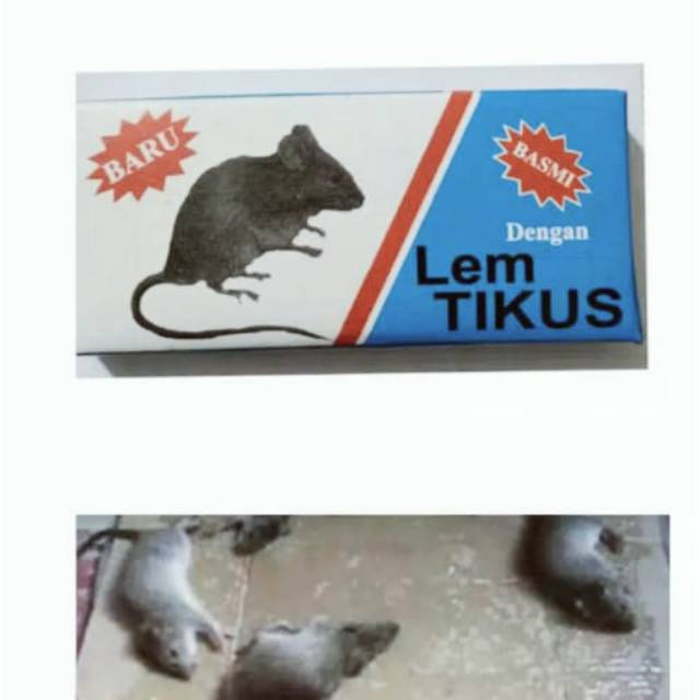 Lem tikus /lem perangkap tikus eceran