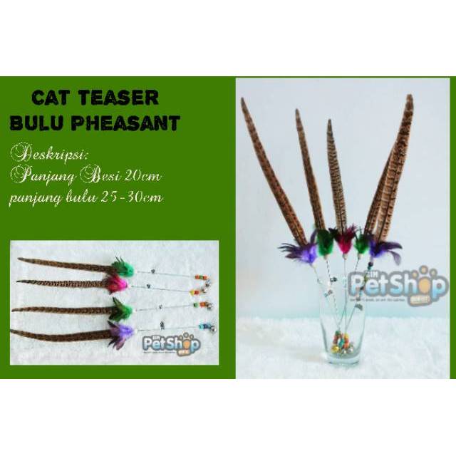 Cat toy / cat teaser / mainan kucing bulu burung pheasant