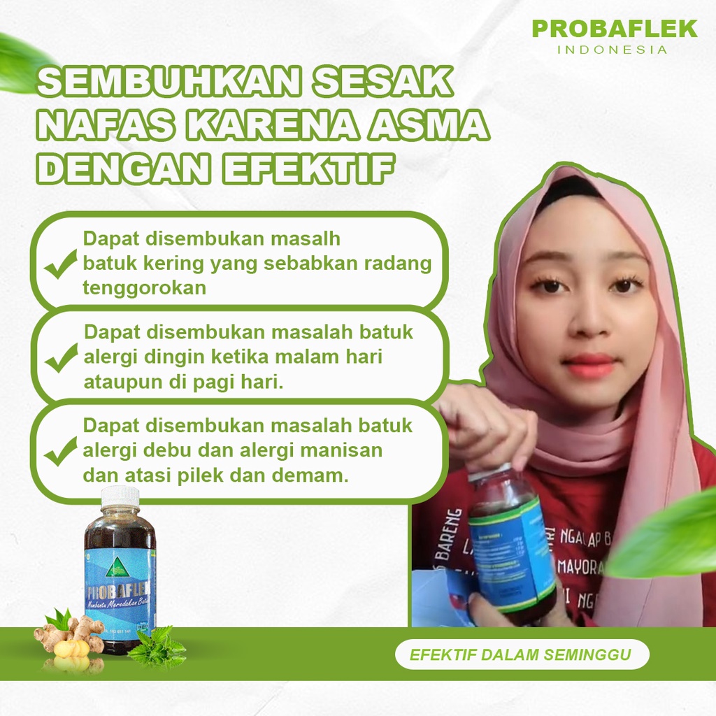 

Probaflek 380gr - obat herbal atasi asma untuk anak dan dewasa