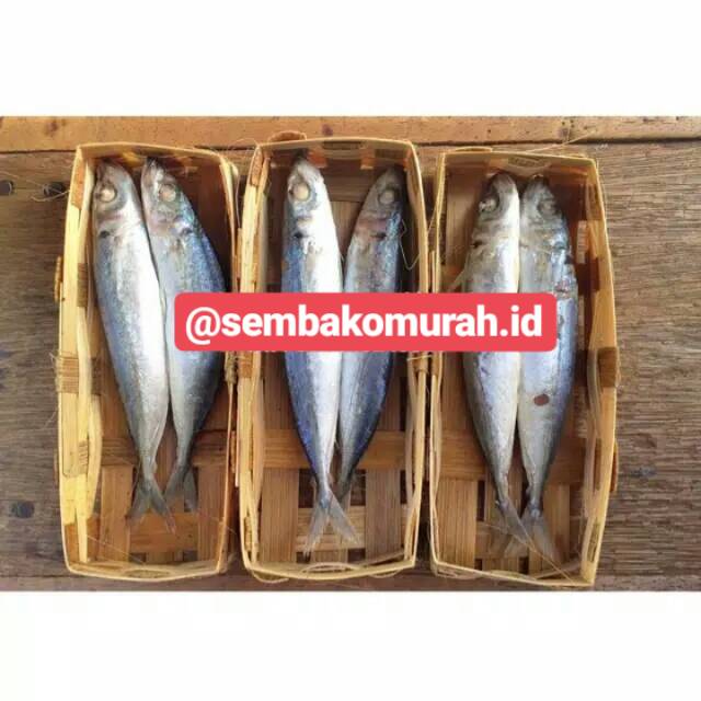 SEMBAKO MURAH Ikan Cue / Cuwe Keranjang 2 Ekor Fresh Pasar Murah Bekasi