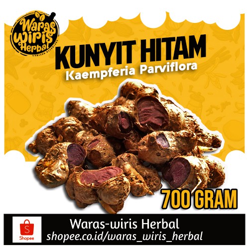 

Rimpang Kunyit Hitam 700 Gram ( Kaempferia Parviflora )