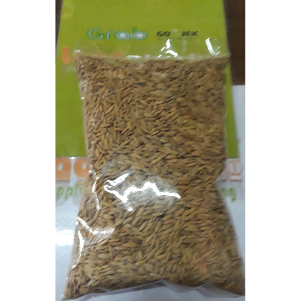 gabah padi beras merah Diskon