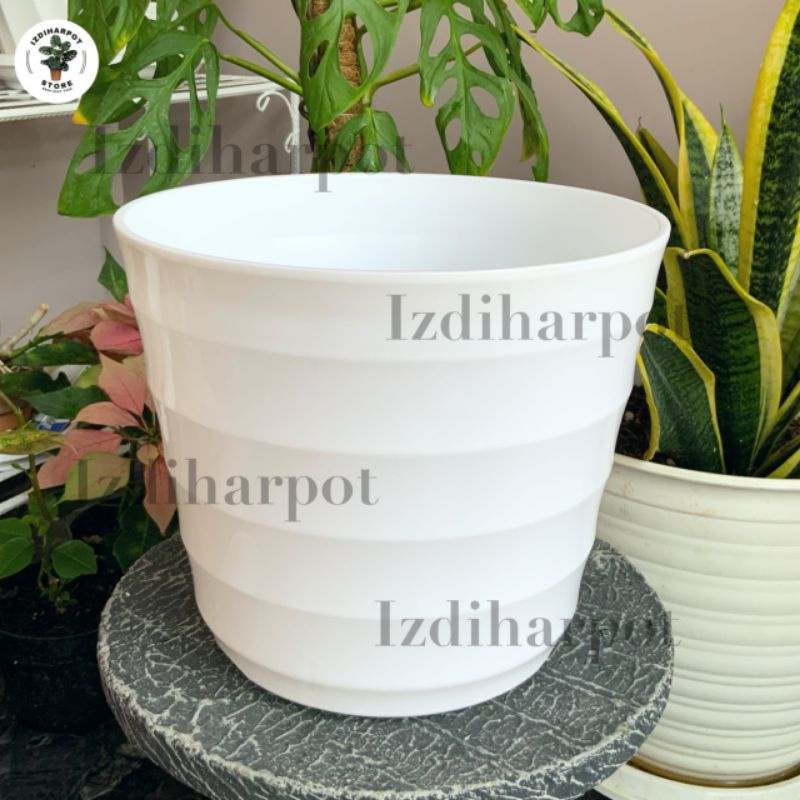 pot bunga tanaman Mado putih 26cm lovenia 8032 - PM 8032 PUTIH