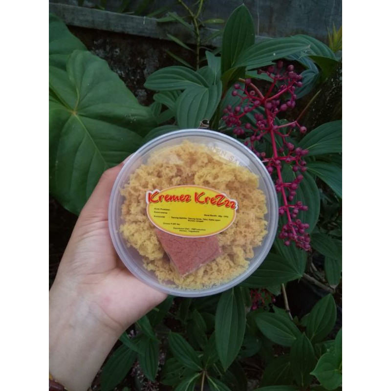 

Kremes ayam