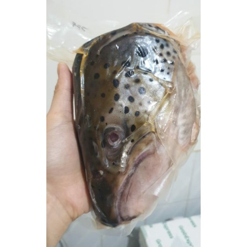 

Kepala salmon JUMBO 500gr