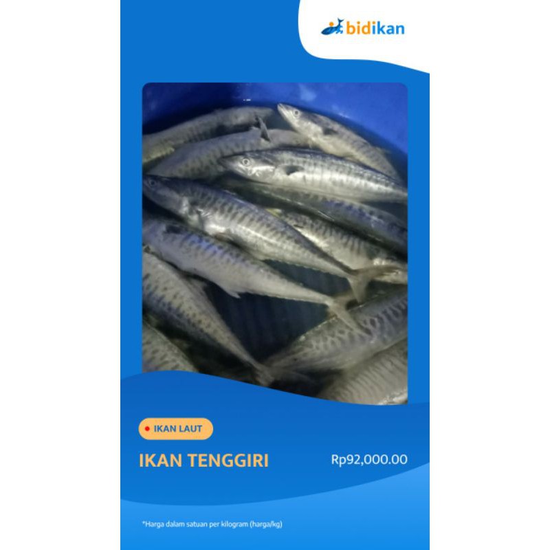 

Ikan Tenggiri