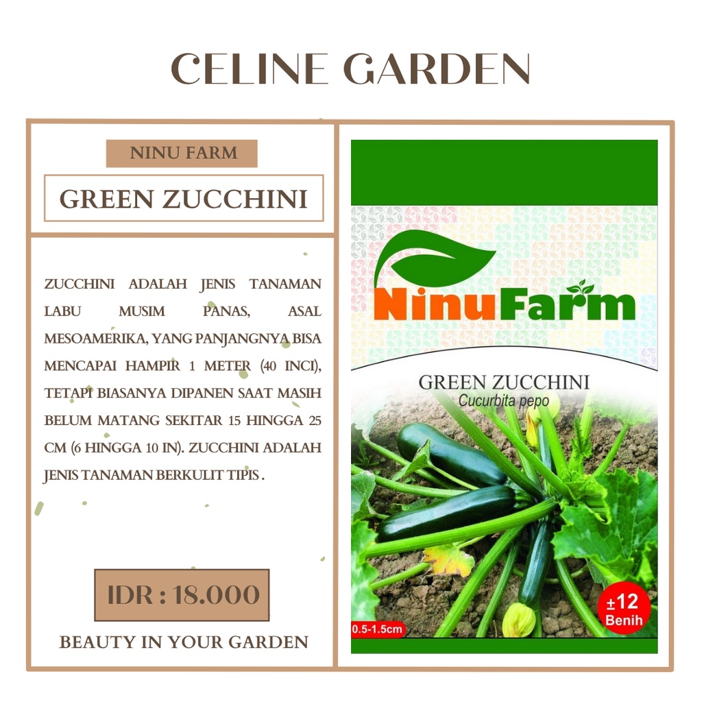 BIBIT ZUCCHINI / GREEN ZUCCHINI / NINUFARM / ORIGINAL PABRIK