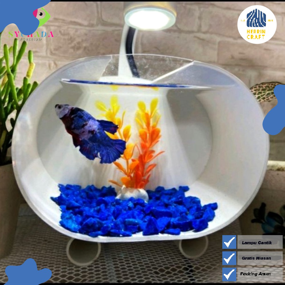Aquaarium Mini Akrilik Fullset Cupang Led Cantik Bulat Kaca Background Bagus Buat Ikan Cupang Dan Hi