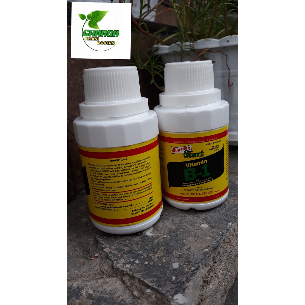 Perangsang Akar Vitamin B-1 Liquinox Start
