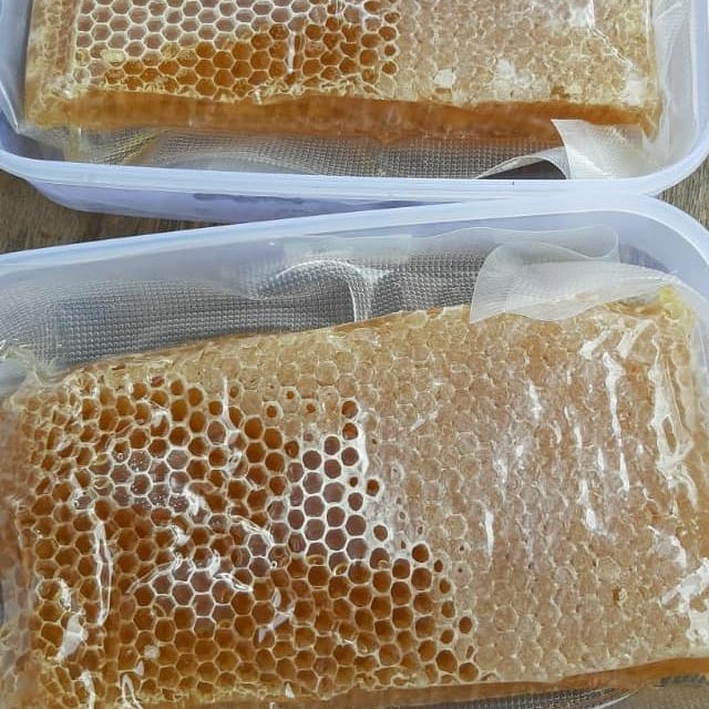 

Madu Hutan Asli