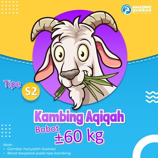 

Exclusive!! Kambing Qurban Kambing Aqiqah Bobot 60kg SUPER BIG Premium JABODETABEK