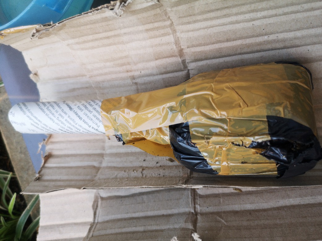 Suksom Jaipong Anakan/suksom Jaipong Bonggolan 2~3 Helai