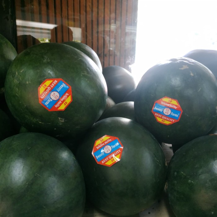 

Semangka Baby Black Seedlees /pics