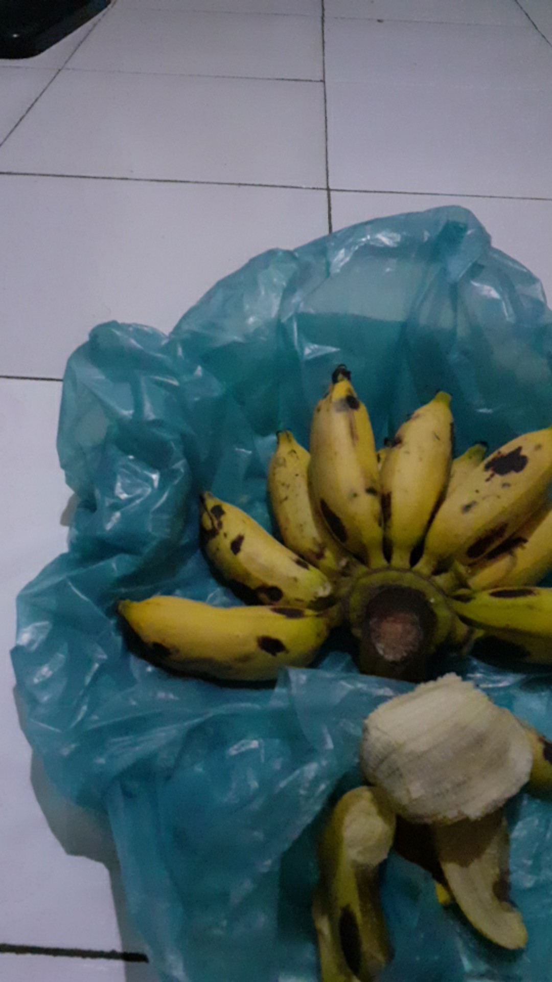 Artomoro Grosir Couple Belvania