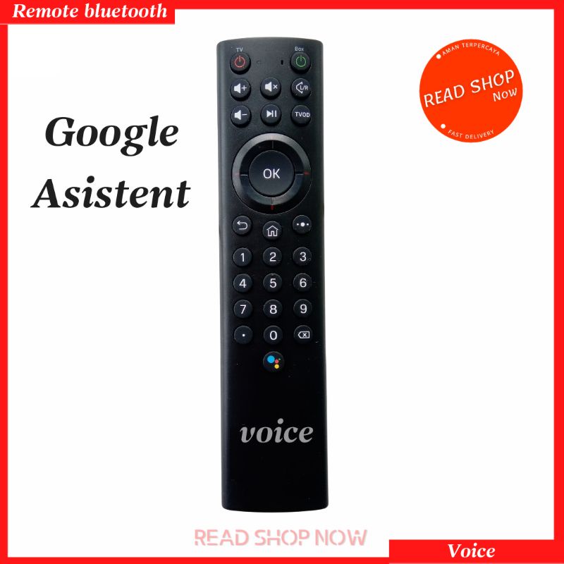 Remote Bluetooth Voice HG680FJ / B860H V5 Original