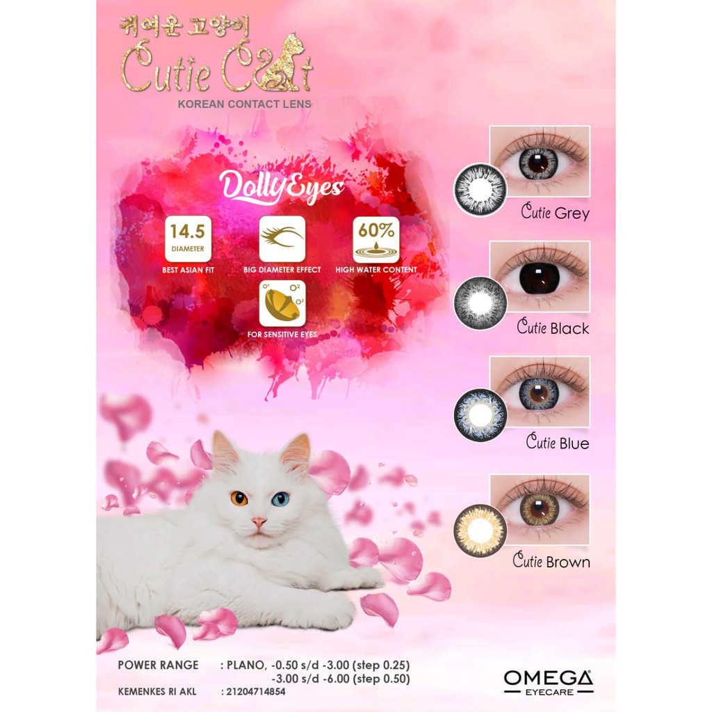 SOFTLENS CUTIE CAT