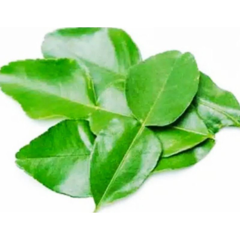 

Sayur Segar - Daun Jeruk Per Pack