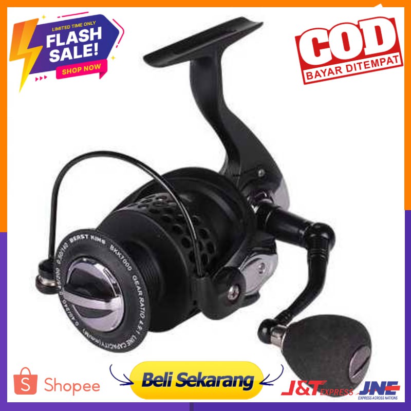 Beast King Reel Pancing BKK3000 13+1 Ball Bearing