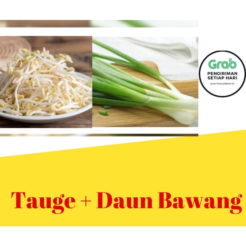 

Tauge dan Daun Bawang