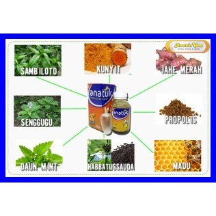 Jual Obat Pilek/Flu Bayi, Anak, dan Dewasa Herbal Ampuh Anatuk(READY STOK)