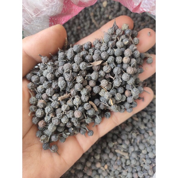 

Kemukus 100gram