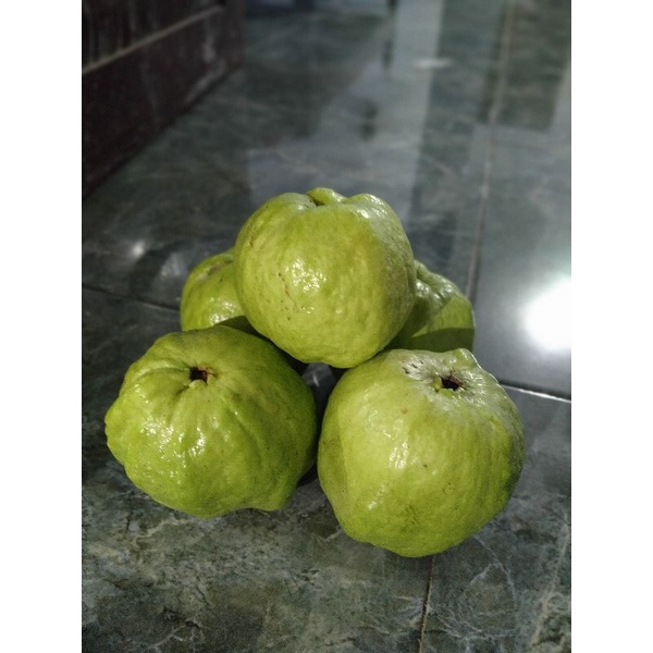 

jambu kristal tanpa biji