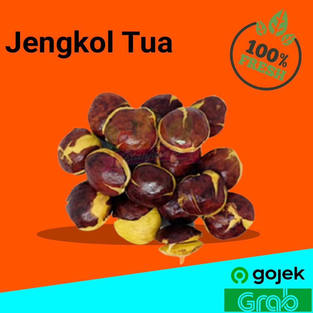 

Murah Jengkol Tua 1000 gr