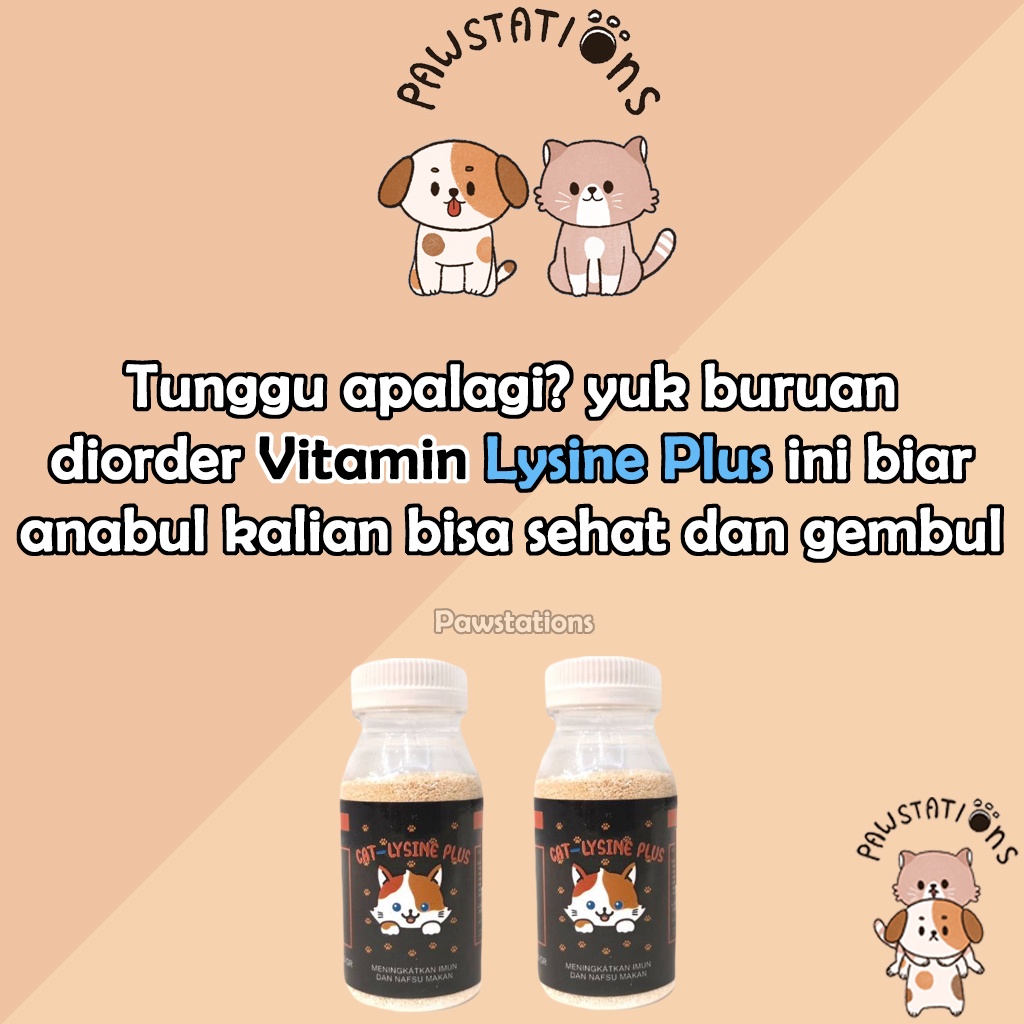 Cat Lysine Plus Vitamin Kucing Penambah Napsu Makan Meningkatkan Daya Tahan Imun Tubuh Kucing