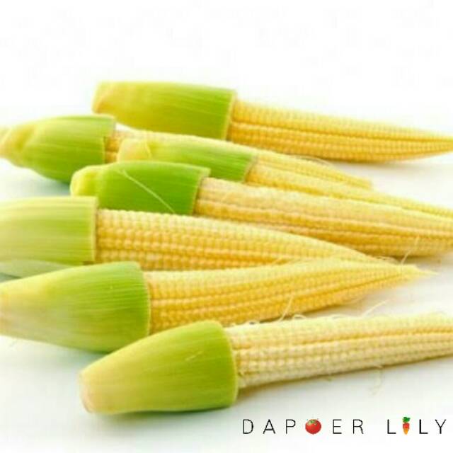 

Jagung Semi