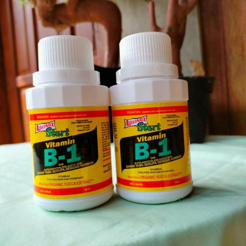 B1 LUQUINOX VITAMIN 100ML pupuk nutrisi untuk tanaman bunga anggrek aglonema dan hiasan