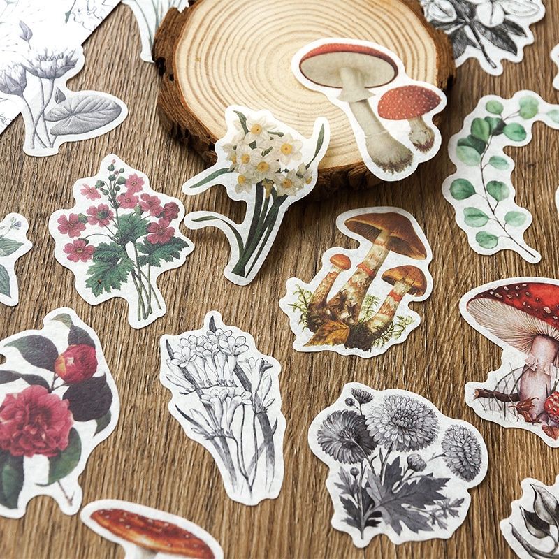 

WASHI STIKER AUTUMN STORY