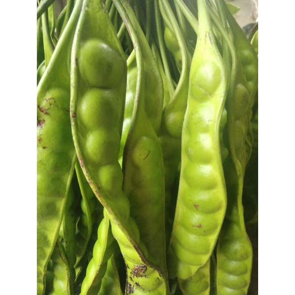 

PETE SUPER/PETE SAYUR MURAH