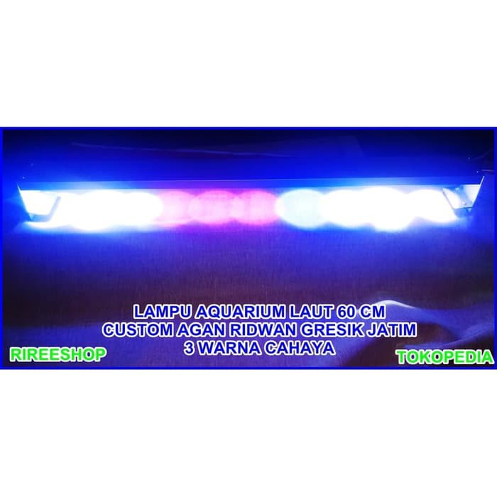 TERBARU LAMPU AQUARIUM LAUT 60 CM.LAMPU AQUARIUM 60 CM.LAMPU AKUARIUM.