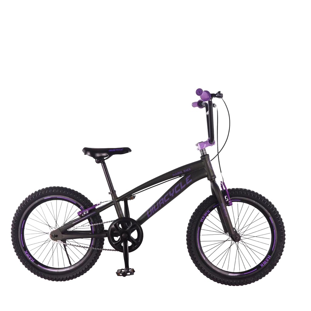  Sepeda  BMX  20 Viva  Cycle  Go BMX  Flash Sale Khusus 