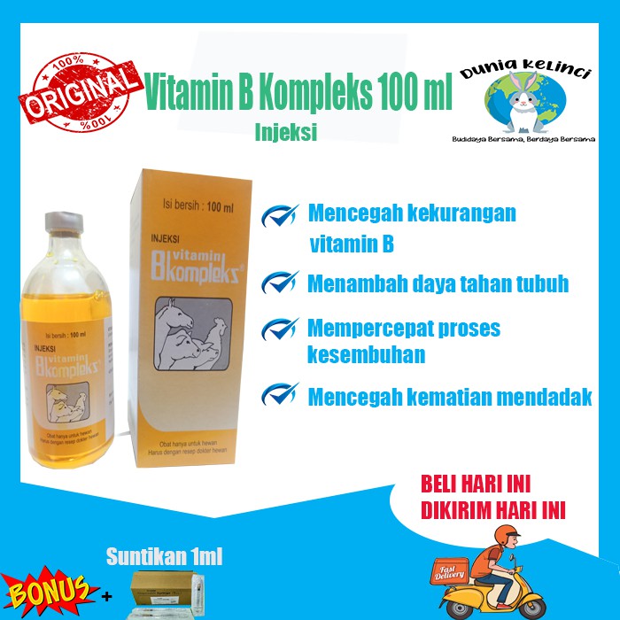 VITAMIN B KOMPLEKS 100 ML INJEKSI MENINGKATKAN PRODUKTIFITAS DAN SISTEM KEKEBALAN TUBUH HEWAN